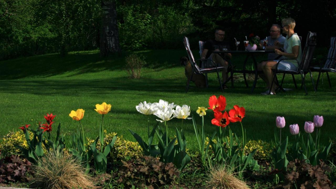 Zielone Okiennice Miłki Buitenkant foto