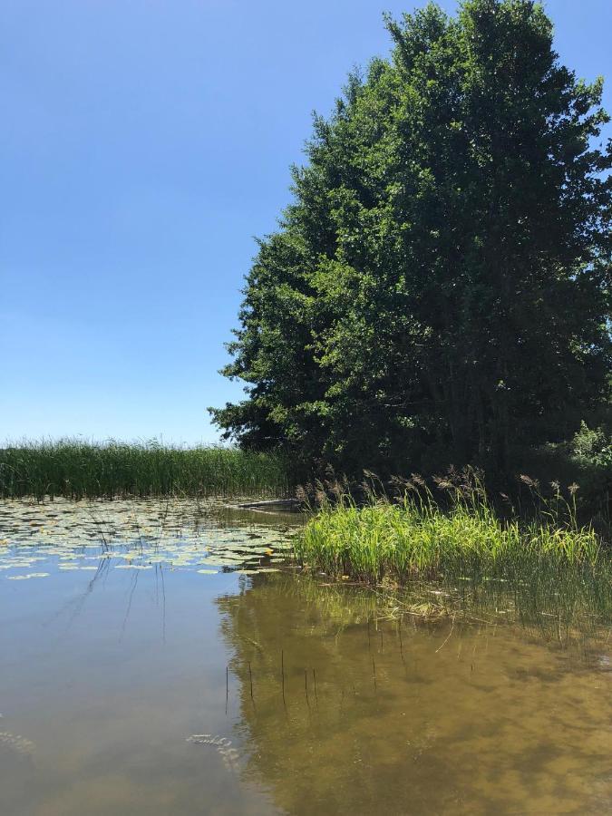 Zielone Okiennice Miłki Buitenkant foto
