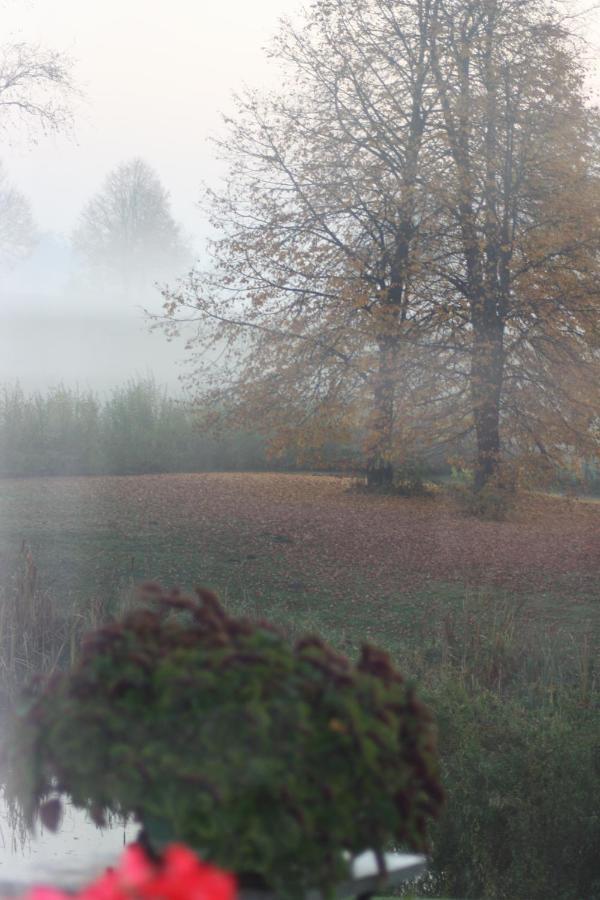 Zielone Okiennice Miłki Buitenkant foto