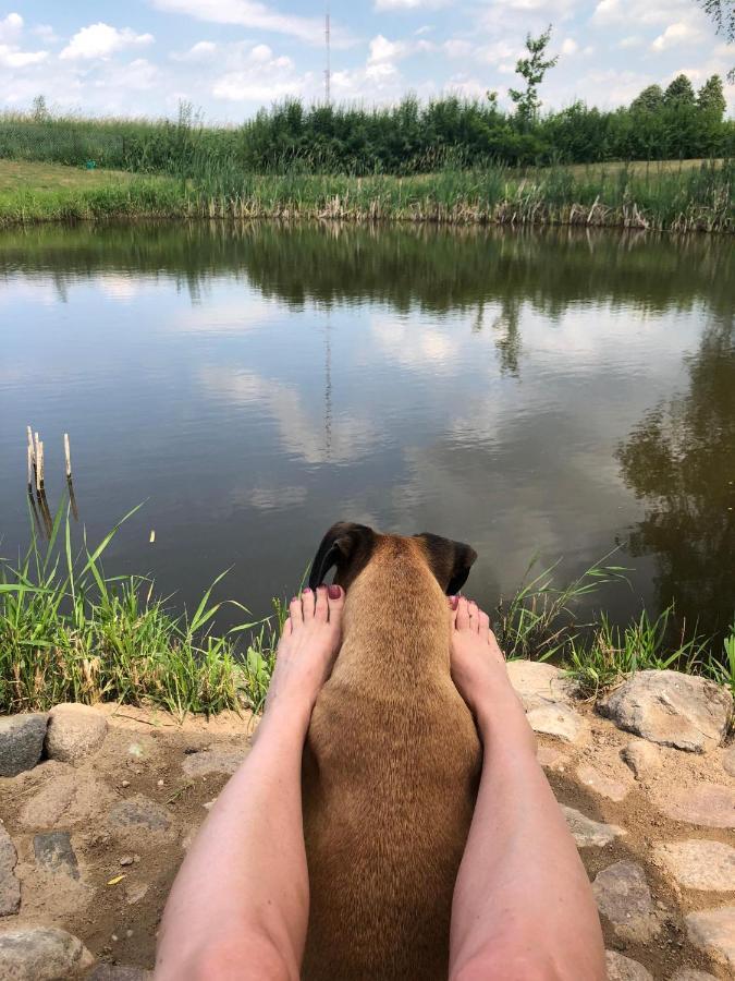 Zielone Okiennice Miłki Buitenkant foto